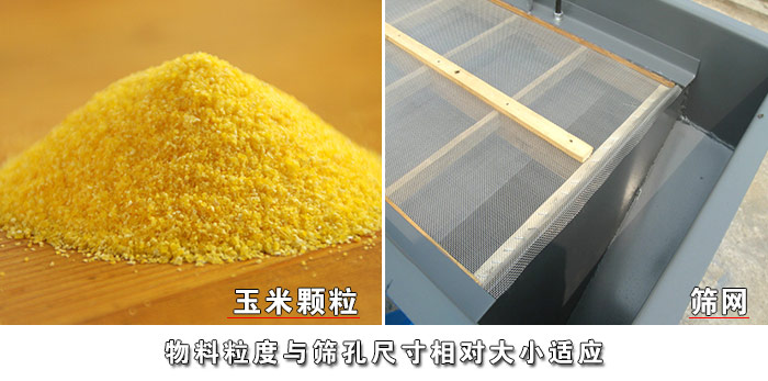 直線篩篩網(wǎng)